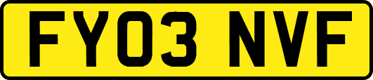 FY03NVF