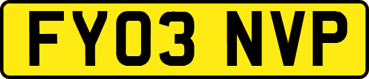 FY03NVP