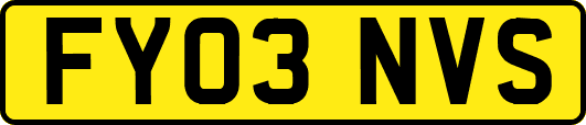 FY03NVS