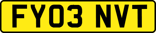 FY03NVT