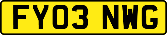 FY03NWG