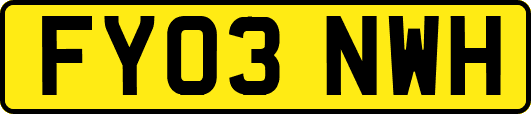 FY03NWH
