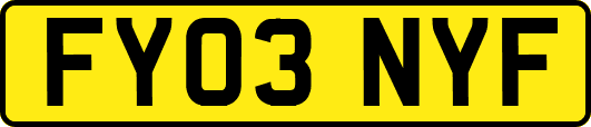 FY03NYF