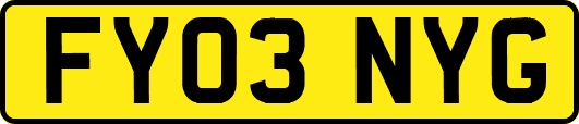 FY03NYG