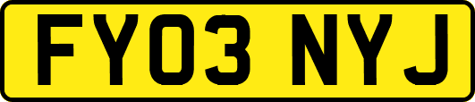 FY03NYJ