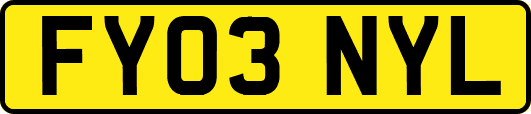 FY03NYL