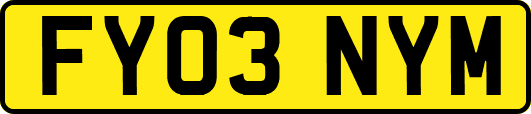FY03NYM