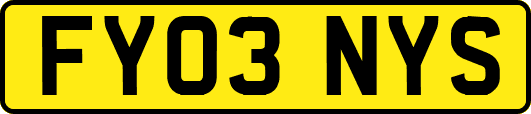 FY03NYS