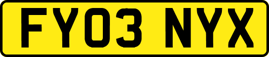 FY03NYX