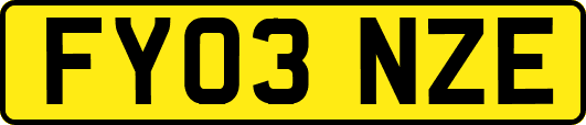 FY03NZE