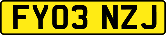 FY03NZJ