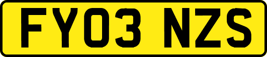 FY03NZS