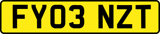 FY03NZT