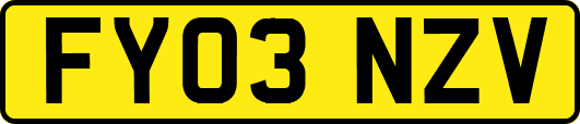FY03NZV