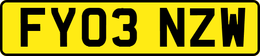 FY03NZW