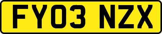 FY03NZX