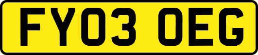 FY03OEG