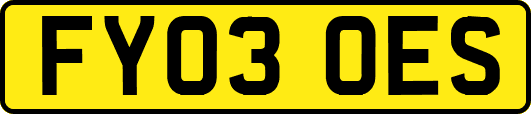 FY03OES