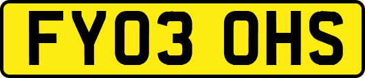 FY03OHS