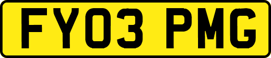 FY03PMG