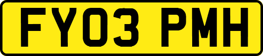 FY03PMH