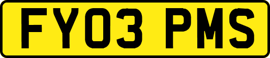 FY03PMS