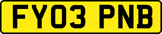 FY03PNB