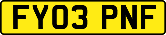 FY03PNF