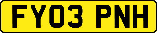 FY03PNH