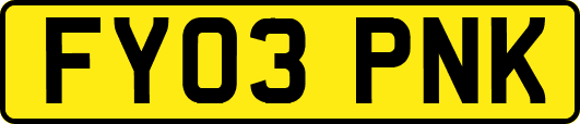 FY03PNK
