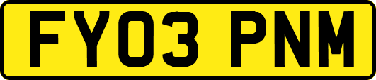 FY03PNM