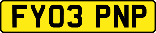 FY03PNP