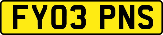 FY03PNS