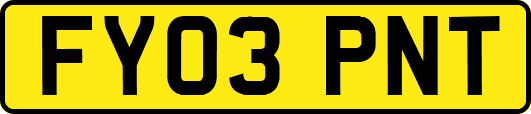 FY03PNT