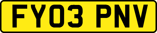 FY03PNV