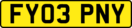 FY03PNY