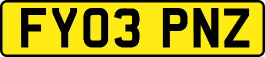 FY03PNZ
