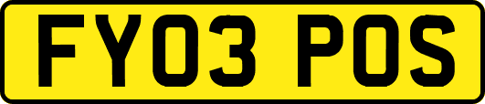 FY03POS