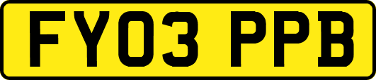 FY03PPB