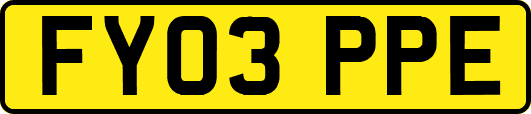 FY03PPE
