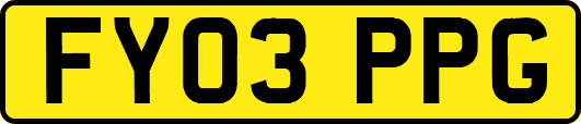 FY03PPG