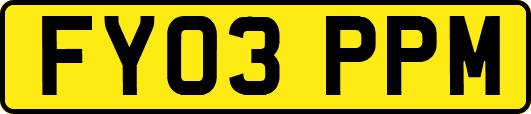FY03PPM