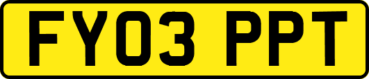 FY03PPT