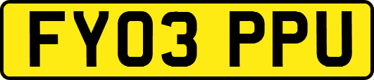 FY03PPU