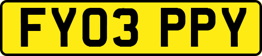 FY03PPY