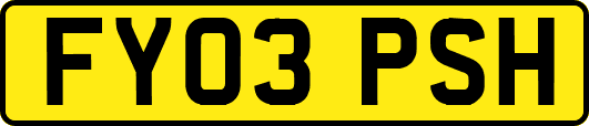 FY03PSH