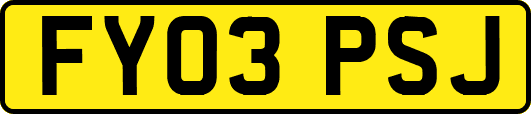 FY03PSJ