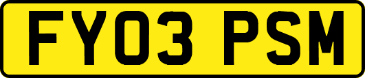 FY03PSM