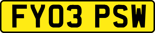 FY03PSW