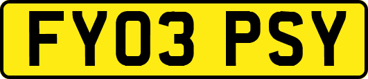 FY03PSY